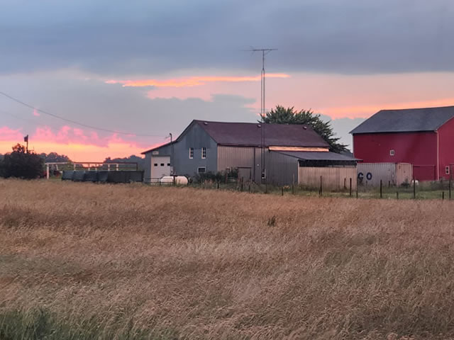 Berrien County Farm